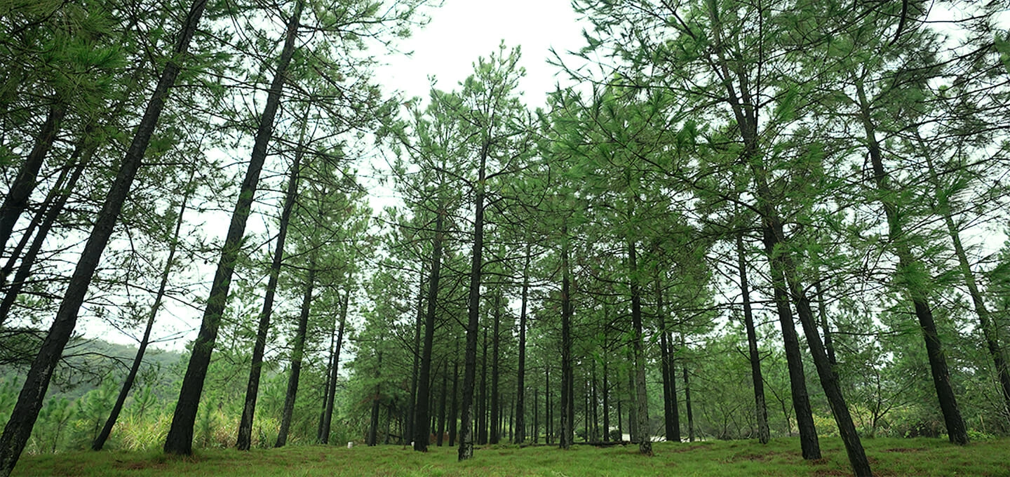 01a7c7df-0053-4a0f-a315-48f614204731