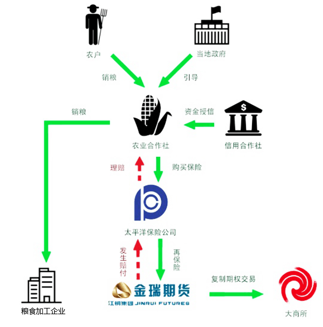 1519272530118039118 金瑞222.jpg