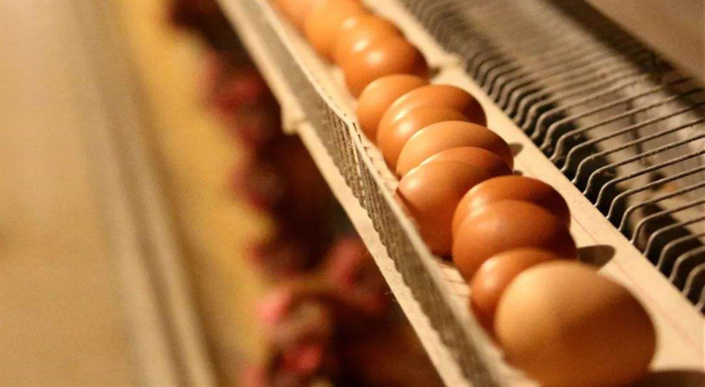 f6ab13d4078e4f7c80faced4ecb5179a