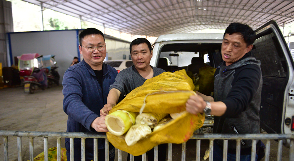 4ab9fd8e91f747cf9cdfd69e1afc7c69