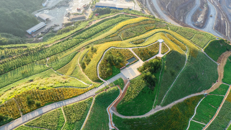 815a76ecd7fe4350b03b56309402e12c